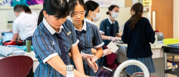International Baccalaureate vs Higher School Certificate (HSC): Which is the right fit for my child? - Australian International School (AIS)