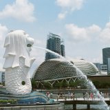 jisun-han-cjSsSQ7Yedk-unsplash