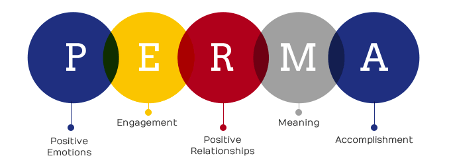 AIS practices the PERMA model