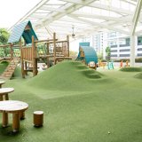 AIS Early Learning Village_Outdoor Play copy