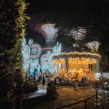 7 Christmas Activities_Gardens