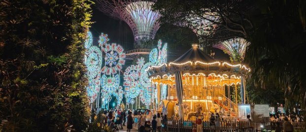 7 Christmas Activities_Gardens