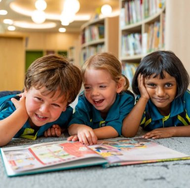 New ELV Library