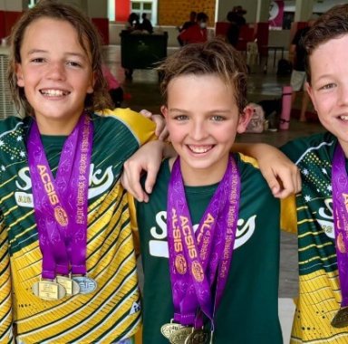 AIS Swimming Sharks